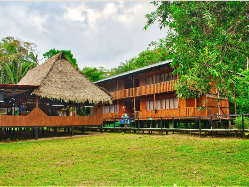Cabins and gardens of Cuyabeno Dolphin Lodge