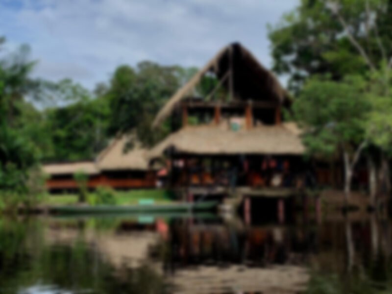 Cuyabeno Dolphin Lodge seen from the Cuyabeno River