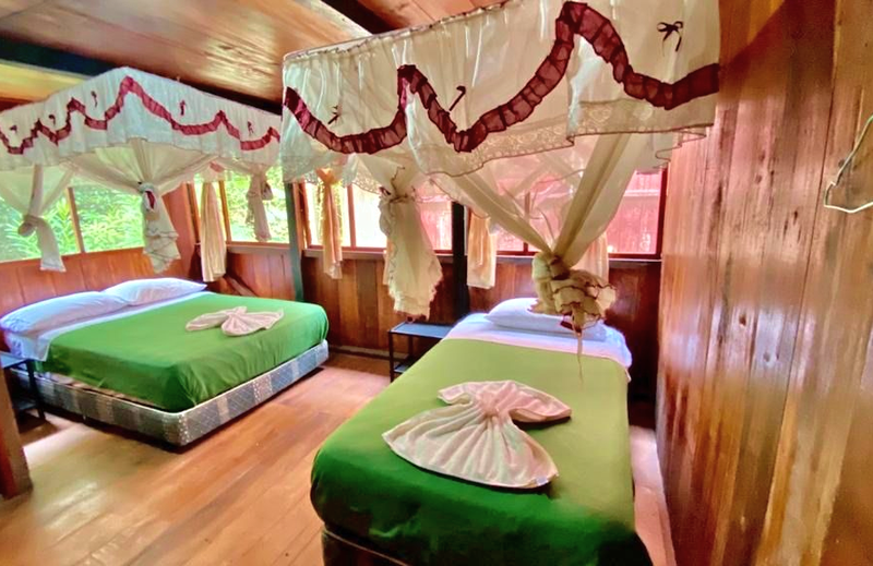 Double room with mosquito nets at Cuyabeno Dolphin Lodge