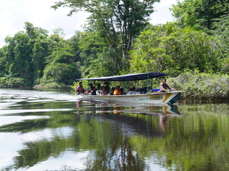 Canoes on the still waters of the Laguna Grande, Cuyabeno