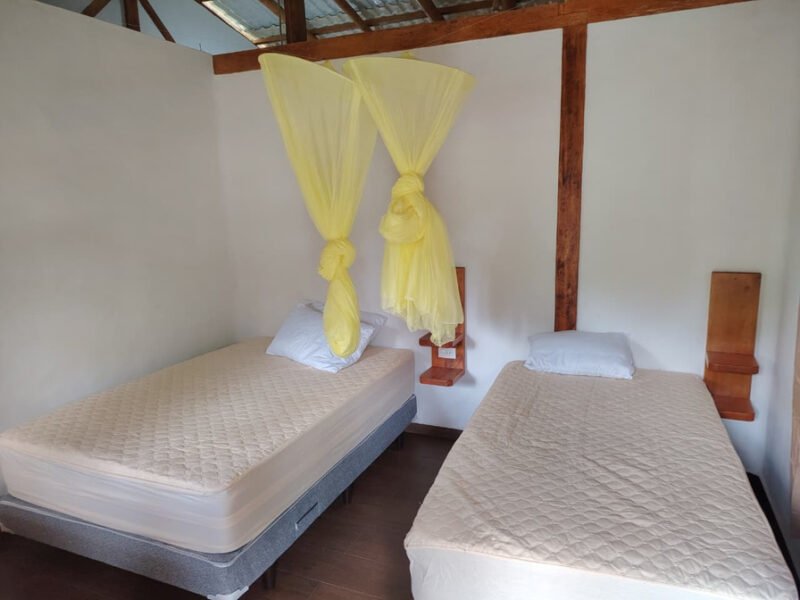 Twin room at Cuyabeno Dolphin Lodge